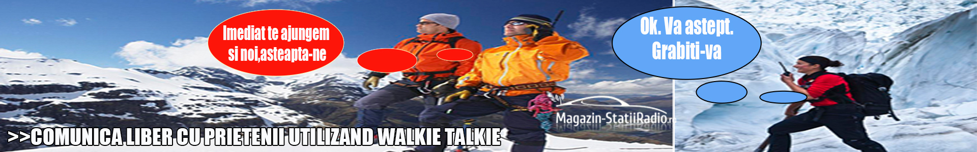 PMR/LPD Walkie-Talkie